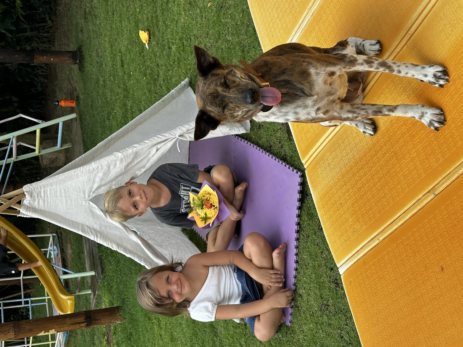 Sunny Kids Moment 36